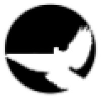 Walthamstow Times logo - Similar company to Your Move Walthamstow