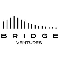 Bridge Ventures logo - Similar company to Soli