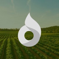 Grupo DetPon logo - Similar company to Frutexpo
