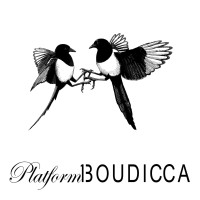 BOUDICCA - PLATFORM 13 logo - Similar company to Brian Kirkby - Pcs Ltd