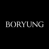 Boryung logo - Similar company to Trippy