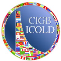 International Commission on Large Dams (ICOLD) logo - Similar company to United States Society On Dams (Ussd)