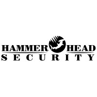 Hammer Head Security logo - Similar company to Aeqea