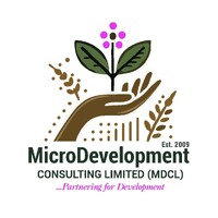 MicroDevelopment Consulting Limited logo - Similar company to Bi Wise Analytics