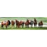 Diamond E Ranch logo - Similar company to Agnex