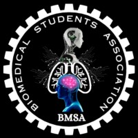 BMSA - VIT Mumbai logo - Similar company to Bmesi-Vit