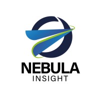 Nebula Insight logo - Similar company to Nextawas