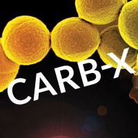CARB-X logo - Similar company to Global Antibiotic R&D Partnership (Gardp)