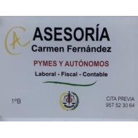 ASESORÍA CARMEN FERNÁNDEZ logo - Similar company to Mt Asesores