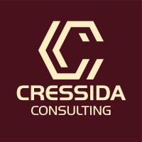 Cressida Consulting logo - Similar company to Extract Technologies