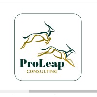 ProLeap Africa logo - Similar company to Proleap