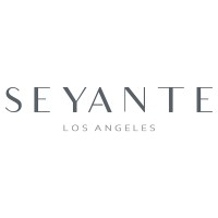 SEYANTE logo - Similar company to Project Noa