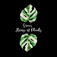 Grace's House Of Plants logo - Similar company to Root