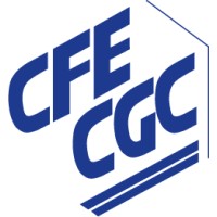 CFE-CGC Thales Services Numériques logo - Similar company to 3Sr