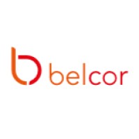 Belcor Nonwovens logo - Similar company to Svenska Aerogel Ab