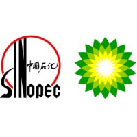 BP Sinopec Petroleum Co. Ltd logo - Similar company to Exart International