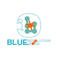BlueRevolutionRoad logo - Similar company to Indigo.Interreg.Project
