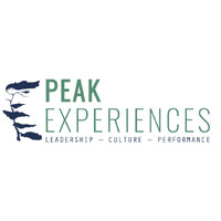 Peak Experiences-The Learning Company logo - Similar company to Space Creatorz
