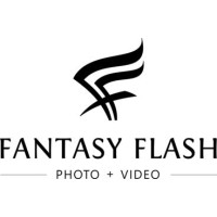 Fantasy Flash Studios logo - Similar company to Wddg