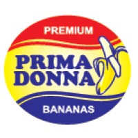 PRIMADONNAEC logo - Similar company to Classy Jumbo Master