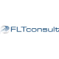 FLT Consult logo - Similar company to Low8 B.V