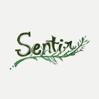 Sentir logo - Similar company to Selective Systems Inc.