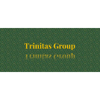 Trinitas Group Consulting logo - Similar company to Dkgit (David-Kenneth Group Information Technologies)