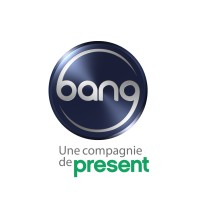 Bang Industries logo - Similar company to Mipsmedia