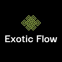 Exotic Flow logo - Similar company to Work-Flow.Ai