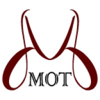 MOT Online logo - Similar company to Vidronas Pvt. Ltd.
