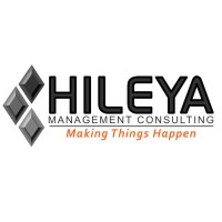 Hileya - Management Consulting logo - Similar company to Bluespec Ai