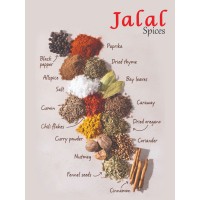 Jalal Spices logo - Similar company to A.B. Tech | Skf Authorized Distributor. |