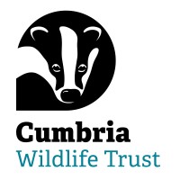 Cumbria Wildlife Trust logo - Similar company to Futureproof Cumbria
