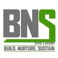 BNS Advisory LLP logo - Similar company to Invoice Factoring Forum