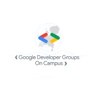 Google Developer Student Club USTO-MB logo - Similar company to Csa Castors