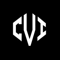 CVI HOLDING GROUP logo - Similar company to Invivity