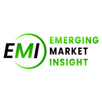 Emerging Market insight logo - Similar company to Twinspire Ventures Pvt Ltd