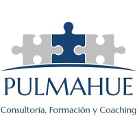Pulmahue Consultores S.L. logo - Similar company to Red De Consultores Totales