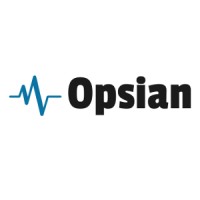 Opsian logo - Similar company to Cumulus26
