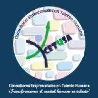 Cethsa Consultores logo - Similar company to Doin Marketing