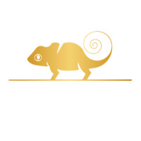 Chameleon Video logo - Similar company to Chameleon Grafix