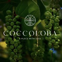 Coccoloba Holobox