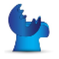 BlueCaribu logo - Similar company to C