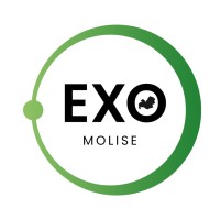 Exo_Molise Associazione logo - Similar company to Afa Systems