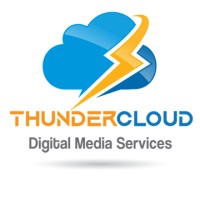 Thundercloud Online Enterprises logo - Similar company to Zenbi Digital | A New Media Marketing Agency