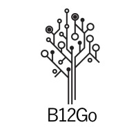 BlueOne2Go logo - Similar company to Golden Sigma