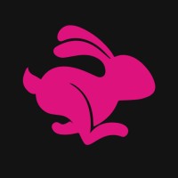 Bunny CMS logo - Similar company to Le Pull Moche