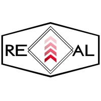 The REAL Institute logo - Similar company to Training 101 Academy,Llc