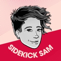 Sidekick Sam Academy logo - Similar company to Stad Vilvoorde