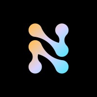 Nile logo - Similar company to Evident Systems